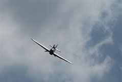 F/O Ludwik Paszkiewicz VM, KW & DFC memorial